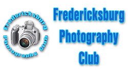 festival logo