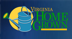 festival logo
