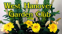 festival logo