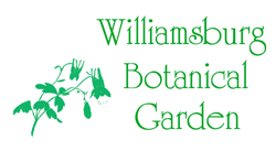 festival logo