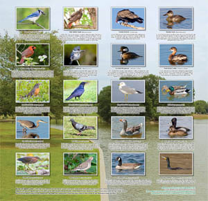PANORAMIC PRINTS